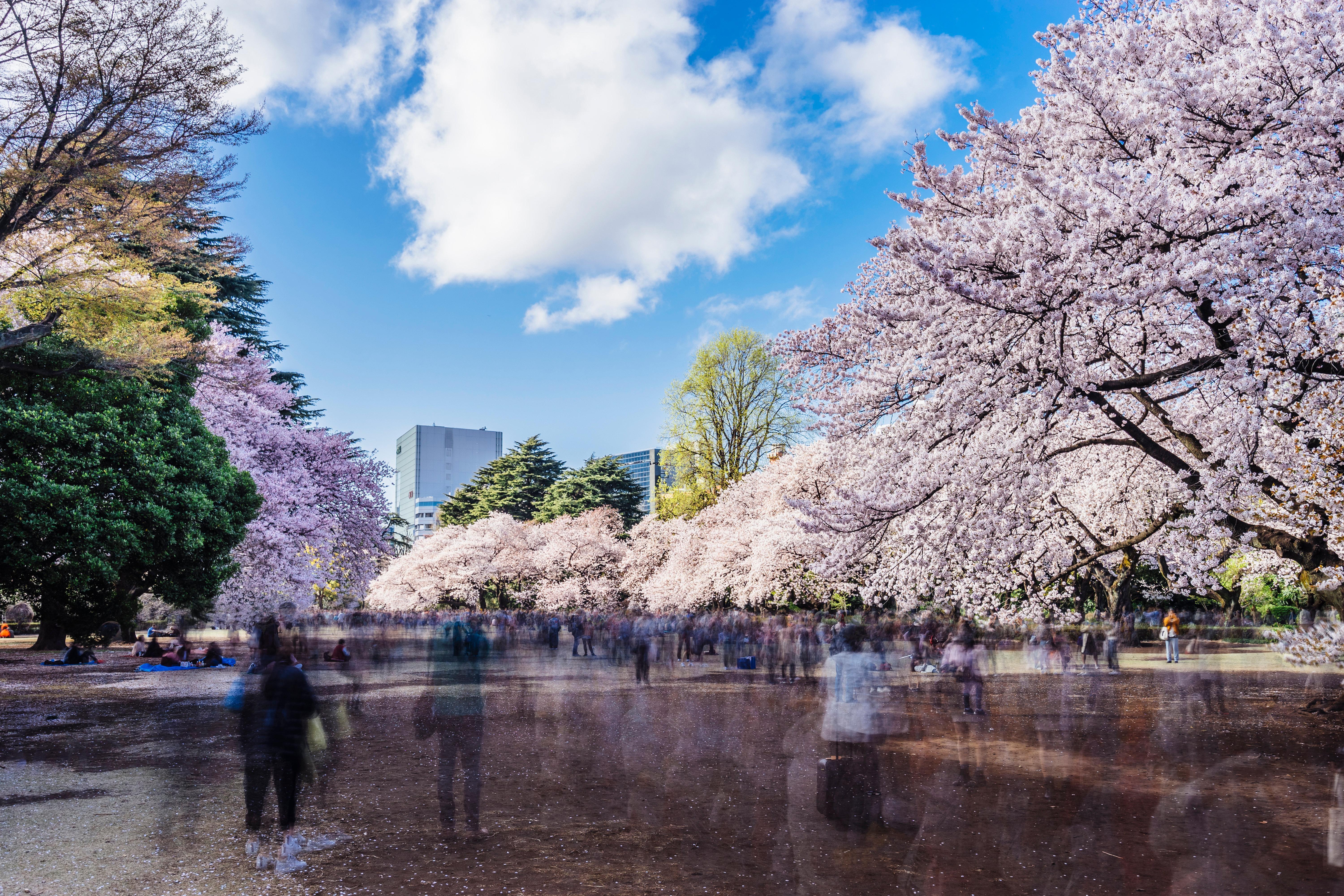 Hotell Kimpton Shinjuku By Ihg 5*
