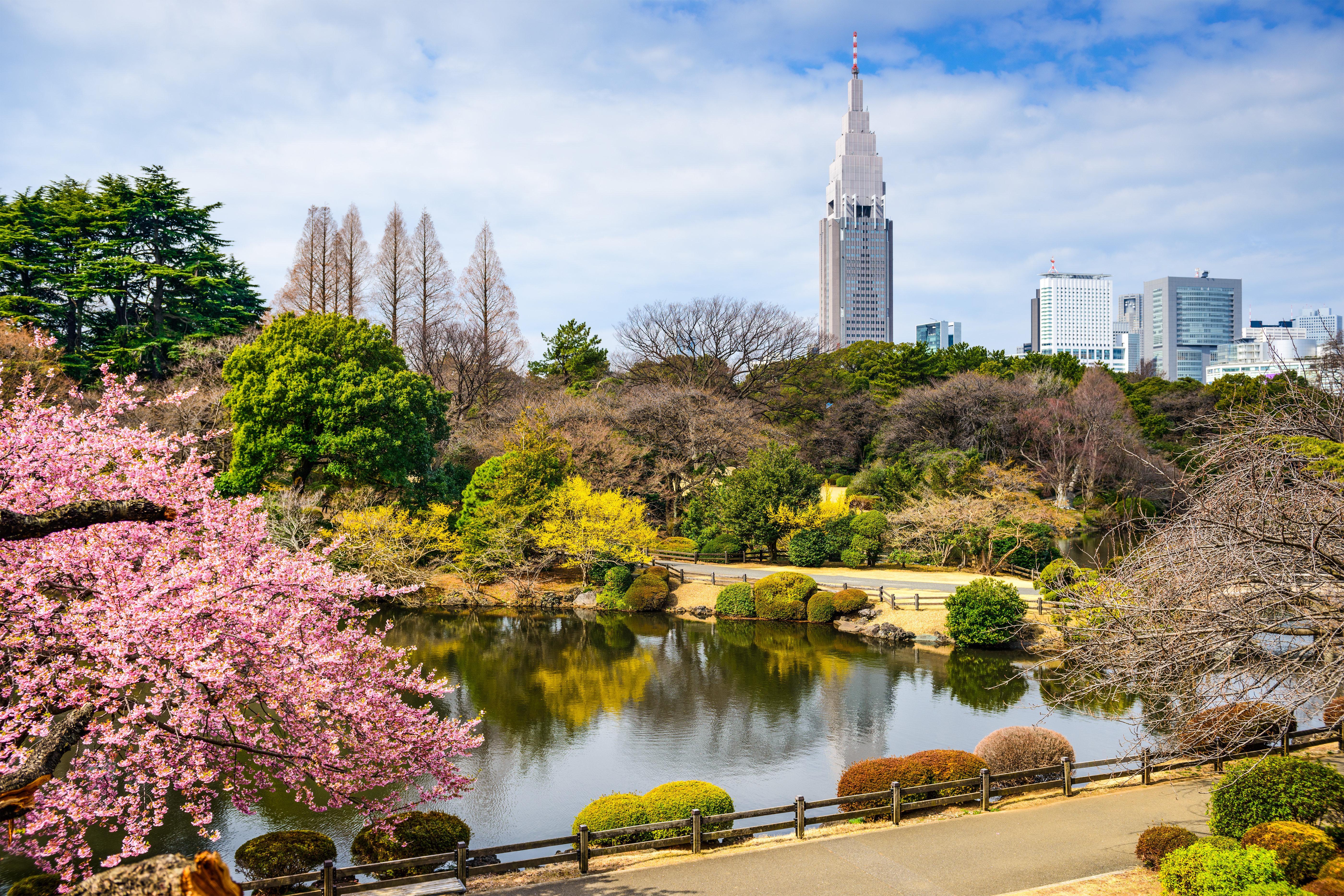 Kimpton Shinjuku By Ihg 5* Tokyo prefektur